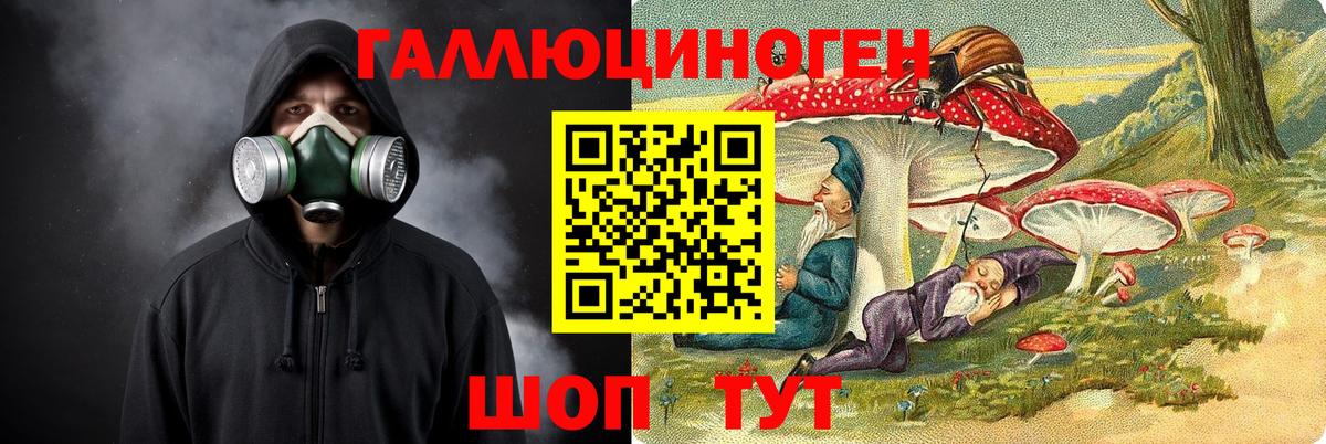 Галлюциногенные грибы мухоморы Горячий Ключ
