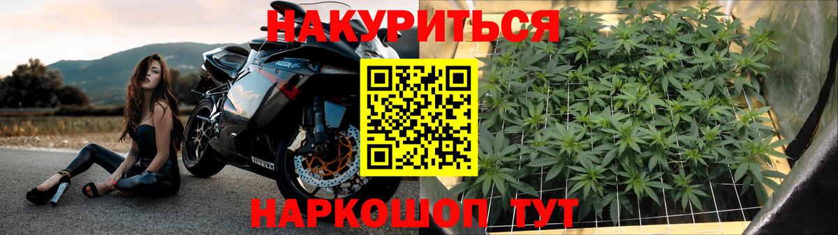 Шишки марихуана OG Kush  Каннабис план  Конопля гибрид  Бошки марихуана AK-47  Вход с VPN  Горячий Ключ 
